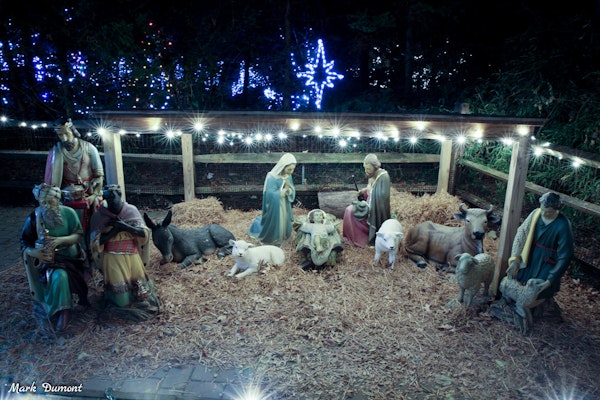 Photo of Nativity Scene