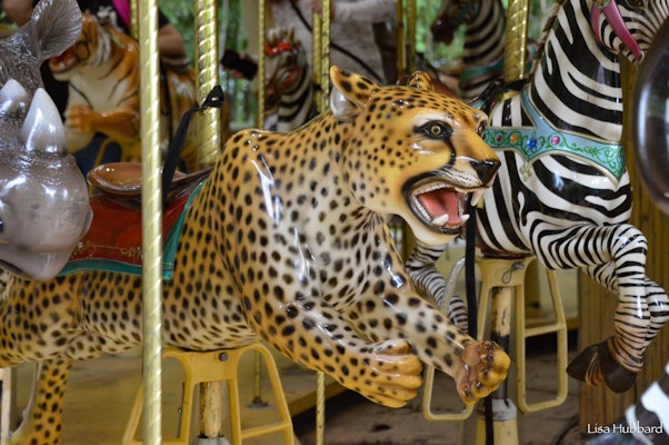 Photo of Carousel