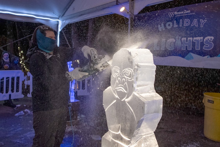 Photo of Ice Carving