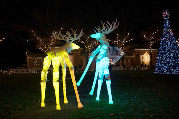 Photo of Stilt Walkers
