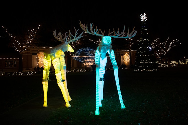 Photo of Illuminated Performers