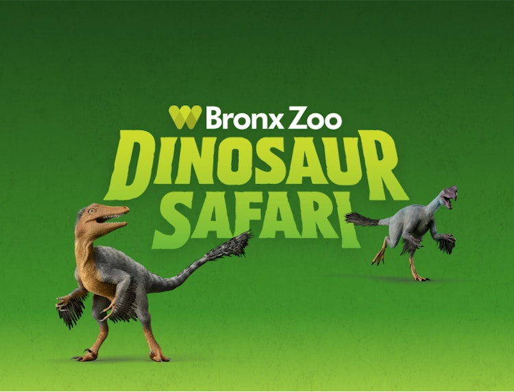 Photo of Dinosaur Safari