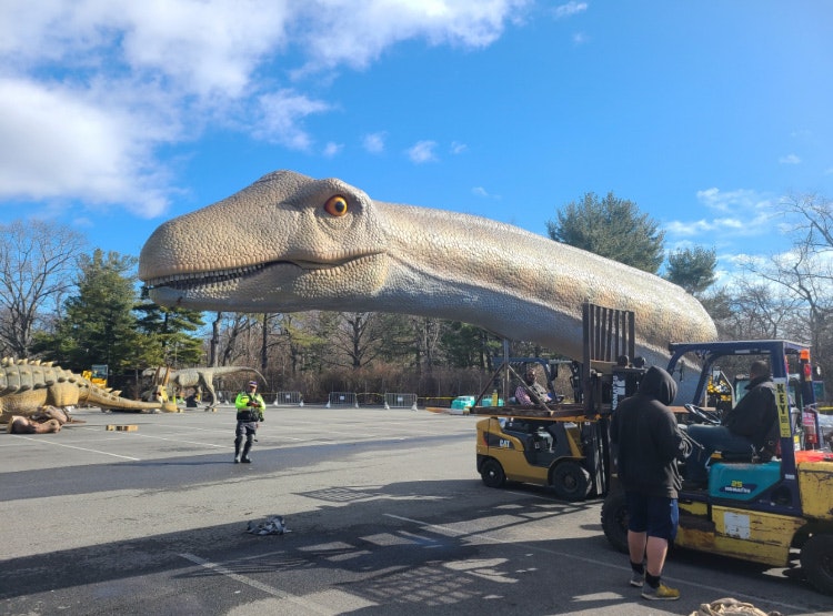 Photo of Argentinosaurus