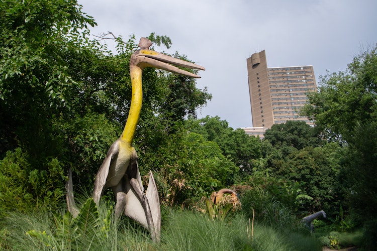 Photo of Quetzalcoatlus