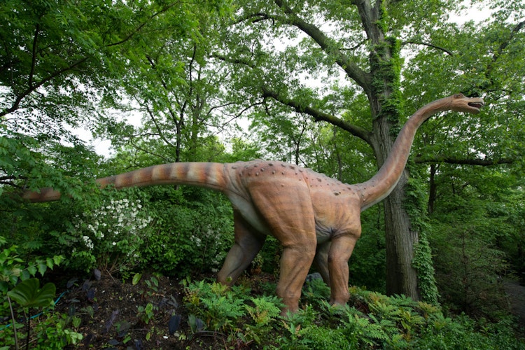 Photo of Rapetosaurus
