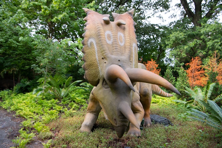 Photo of Pentaceratops