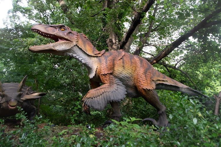 Photo of Utahraptor